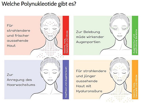 Welche Polynukleotide gibt es?