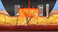 BODY fx™ - Behandlungsschritte