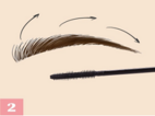 Brow Lift Behandlungsschritte