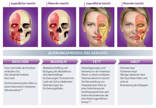 Alterungsprozess des Gesichts