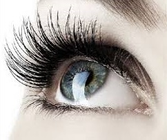 Wimperwelle